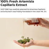 Just One Perilla Frutescens Leaf Extract