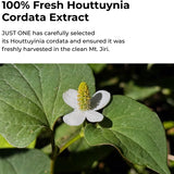 Just One Houttuynia Cordata Extract