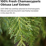 Just One Chamaecyparis Obtusa Leaf Extract