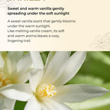 Chiffon Vanilla Perfume Body Lotion