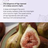 Petit Fig Perfume Body Lotion