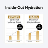 Peptide Power Gold Ampoule Mask (5 Sheets)